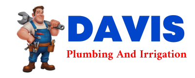 Trusted plumber in HAIGLER